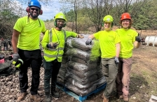 Members of Tree Trust’s Career Pathways program providing tree care and landscaping services.