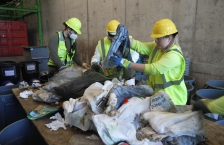 Different waste types are sorted by category as part of a waste sort at Ramsey/Washington Recycling & Energy Center
