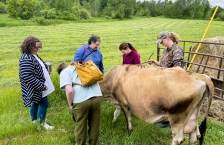 A small group of people standing around a brown cow in a grassy field.