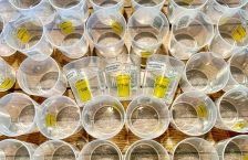 Overhead view of rows of empty translucent plastic cups, three are turned on their sides and say "Please return me, I'm reusable!"