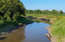 Brown stream with grassy, tree-lined banks next to farm field.