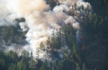Smoke billows into the sky from a forest fire
