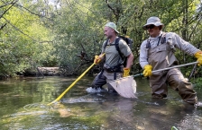 fish sampling, September 2023