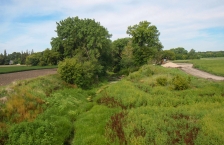 Narrow stream runs through banks overgrown with grass and trees next to a farm field.