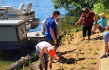 A Great Roots shoreline restoration project in September 2022.