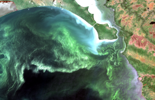 Satellite image of algae growth in Lake Winnipeg