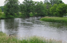 Curving stream running through grassy banks.