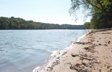 Shore of Mississippi River in Anoka County