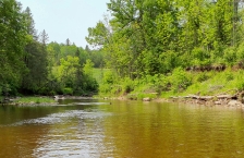 Wide brown river in tree lined banks.