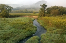 Stream in La Crescent area 