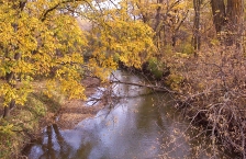 Autumn colored trees around Plum Creek in the Cottonwood River Watershed in southwest Minnesota.