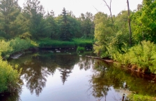 A calm, narrow, brown river with tree-lined banks.