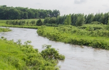 High water on the Redwood River in southwest Minnesota.