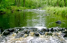 Stream running over rocks.