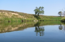 Calm river flowing through grassy banks with occasional small trees.