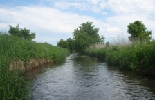 Stream with grassy banks.