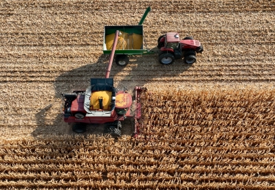 Aerial view of a combine harvesting corn.