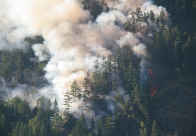 Smoke billows into the sky from a forest fire