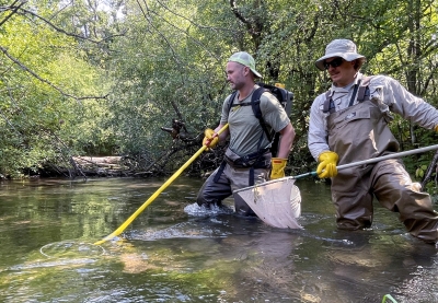 fish sampling, September 2023
