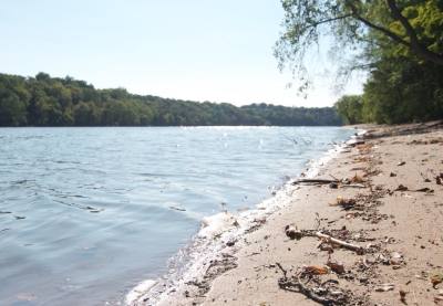 Shore of Mississippi River in Anoka County