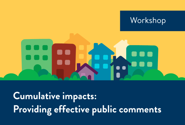 Graphic of colorful neighborhood. Text reads: Workshop. Cumulative impacts: Providing effective comments