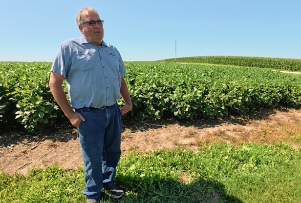 A man standing in front of a soybean field.