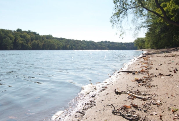 Shore of Mississippi River in Anoka County