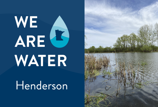 We Are Water Henderson. A small lake with rippled surface and dried cattails up close and a tree-lined shore on the other side of the lake.