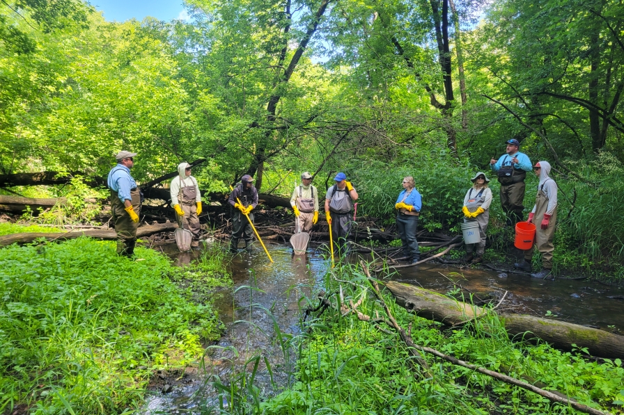 People wearing waders and holding nets and buckets stand in a small stream and receive instructions on how to collect biological data samples.