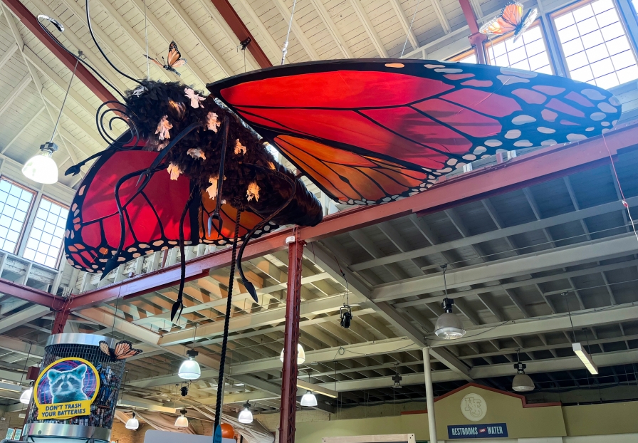 Large model of a monarch butterfly suspended from the ceiling of an exhibit hall.