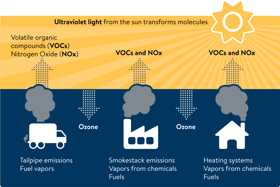 Volatile organic compounds and nitrogen oxide molecules from fuel and chemical vapors and emissions rise into the atmosphere, where ultraviolet light from the sun transforms them into ozone.