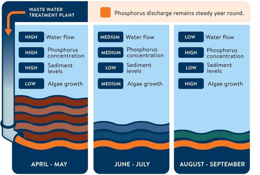 Infographic: Concentration of phosphorus in water changes based on different conditions at different times of the year, while phosphorus discharge remains the same.