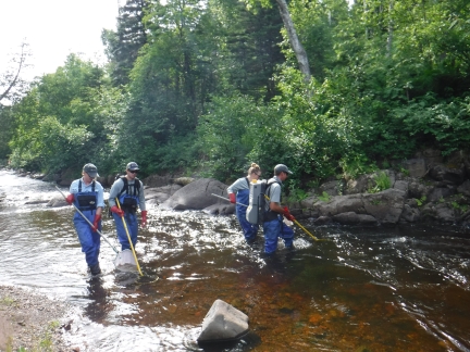 Working in pairs, biological monitoring staff in waders walk the Caribou River with electroshocking equipment and nets