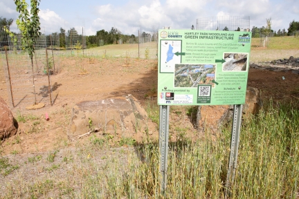 A green sign that reads Hartley Park/Woodland Ave Green Infrastructure with explanatory text and photos on it.