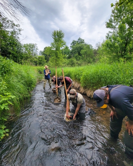 People wearing waders stand in a small stream using nets to collect biological data samples.