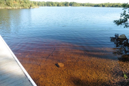 Lake with brown colored water like root beer.
