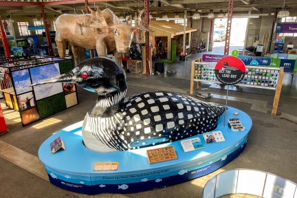 Loon and moose statues displayed at the Eco Experience.