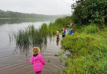 Group of kids with nets collecting samples in a wetland. 