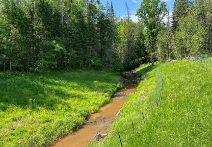 A small brown stream running out of woods through grassy area.