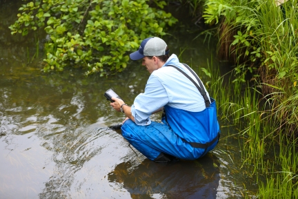 Field staff using a device to measure oxygen levels in the water