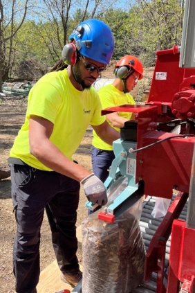 A member of Tree Trust’s Career Pathways program providing tree care.