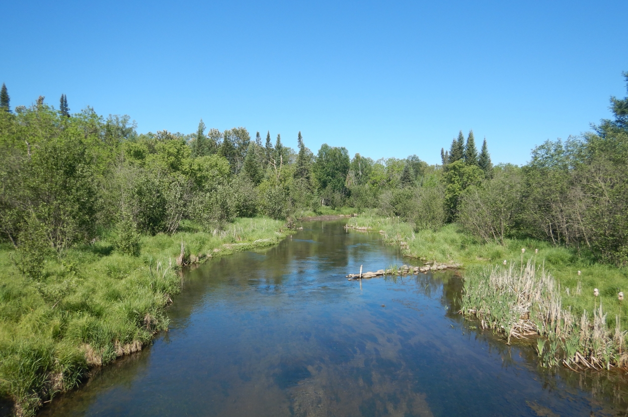 Straight River in the Crow Wing River Watershed among a mix of deciduous and evergreen trees