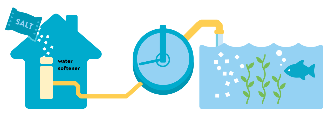 graphic showing the progression of water softener salt through a house, to a wastewater treatment plant, and on to a body of water with aquatic life in it