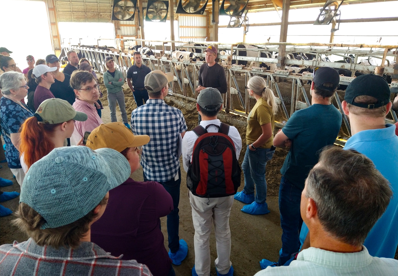 A man standing in front of a pen of dairy cows speaking to a group of people.