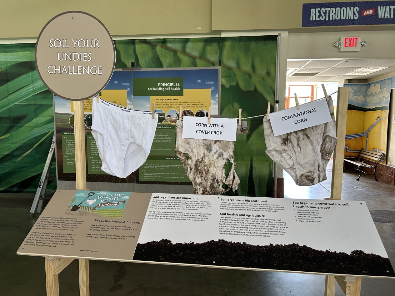 Soiled Undies exhibit at Eco Experience