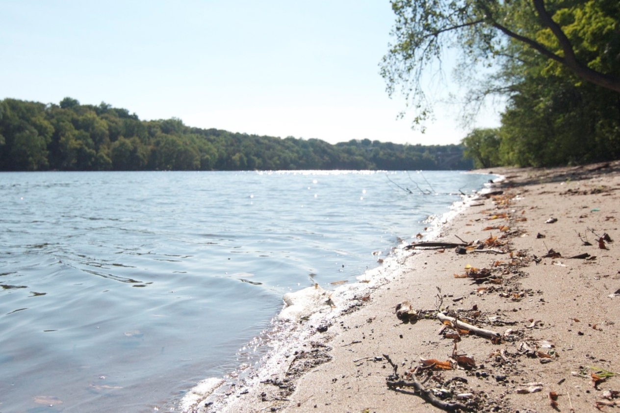 Shore of Mississippi River in Anoka County
