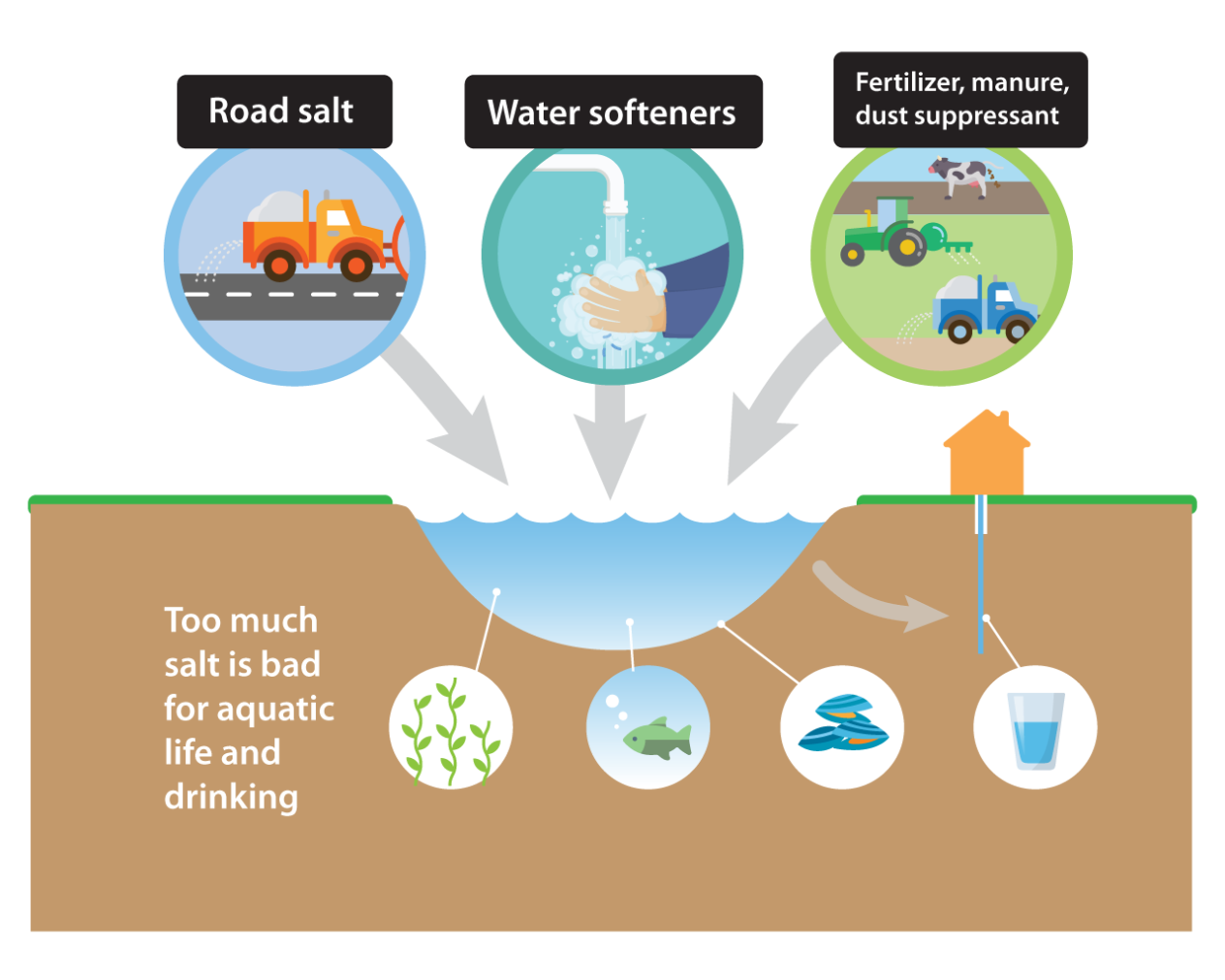 Road salt, water softeners, and fertilizer, manure, and dust suppressants all add salt to our water. Too much salt is bad for aquatic life like plants and fish, and is bad for drinking.