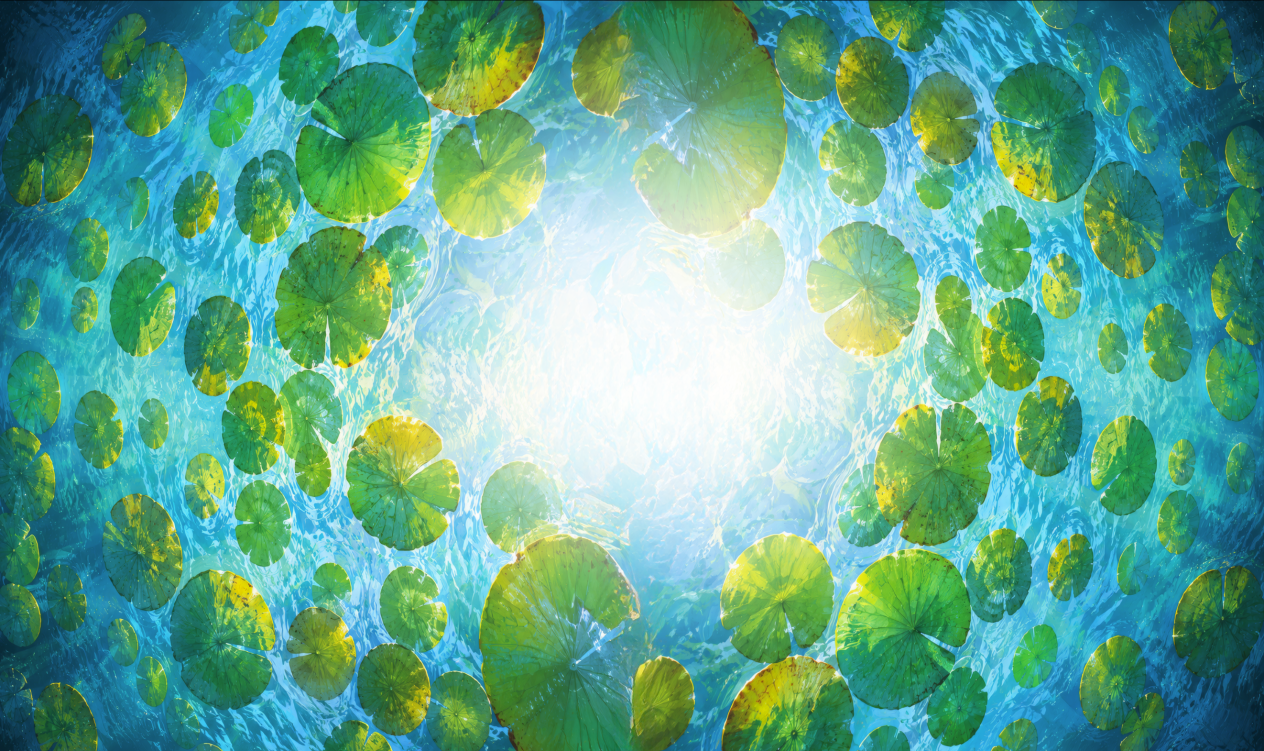 Illustration of water lily pads